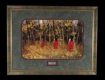 Red Dress Project