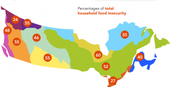 graph food secuity