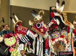 Horse Dance 1