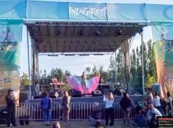 Indigifest  1