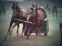 chuckwagon PA