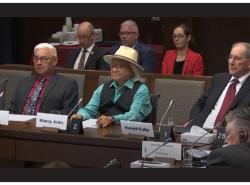 Three men sit at a desk with three people sitting behind them. They address the Senate of Canada.