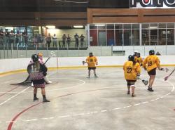 Photo is of a team of lacrosse players playing in a arena.