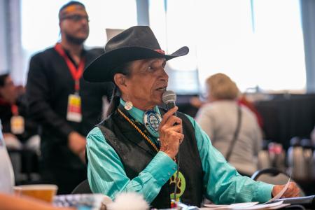 Manito Ahbee Powwow Gallery 2: Photo 12
