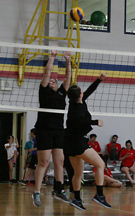 Volleyball 10