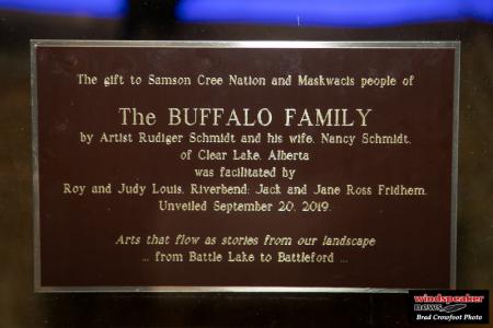 Buffalo Treaty 16