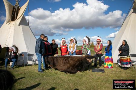 Buffalo Treaty 33