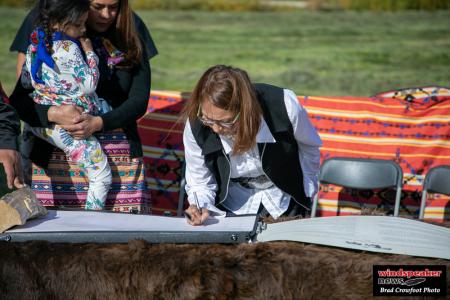 Buffalo Treaty 47