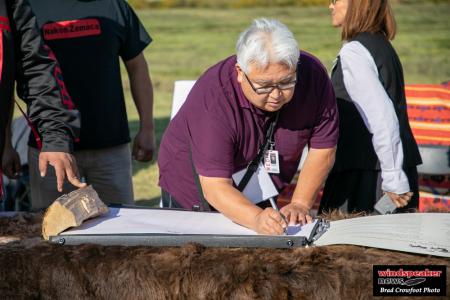 Buffalo Treaty 48