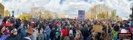 Climate action 15