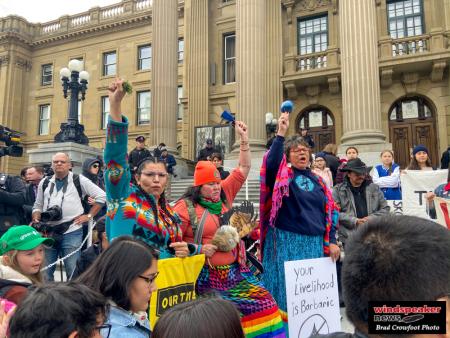 Climate action 23